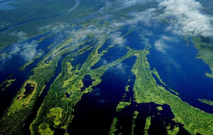 Amazônia