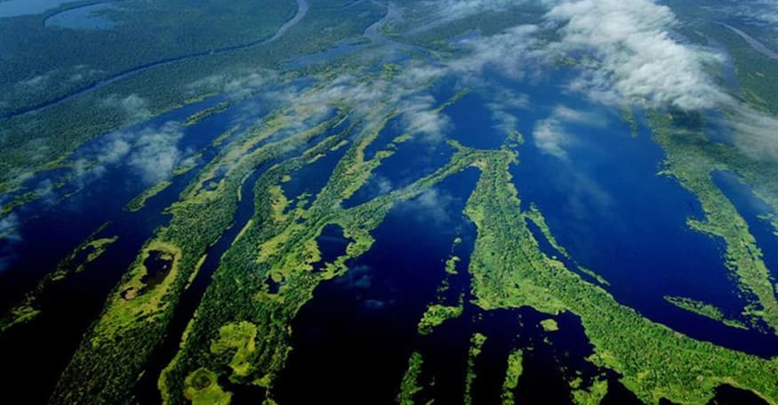 Amazônia