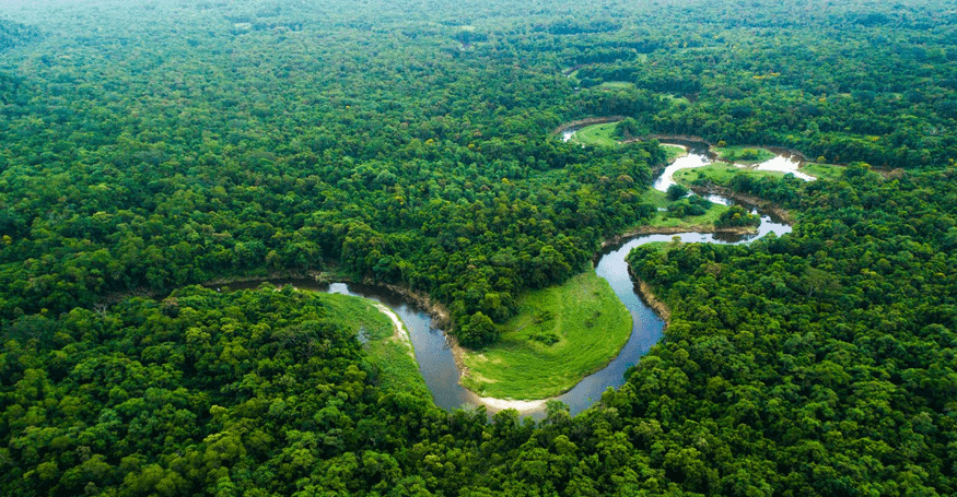 amaz-01 Amazônia e Questões Ambientais