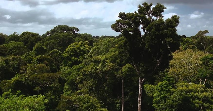 amaz-05 Amazônia e Questões Ambientais