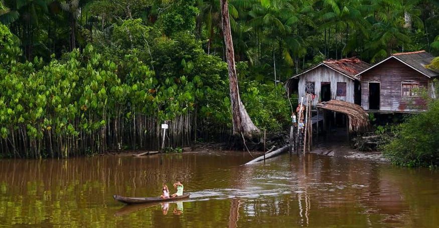 amaz-10 Amazônia e Questões Ambientais